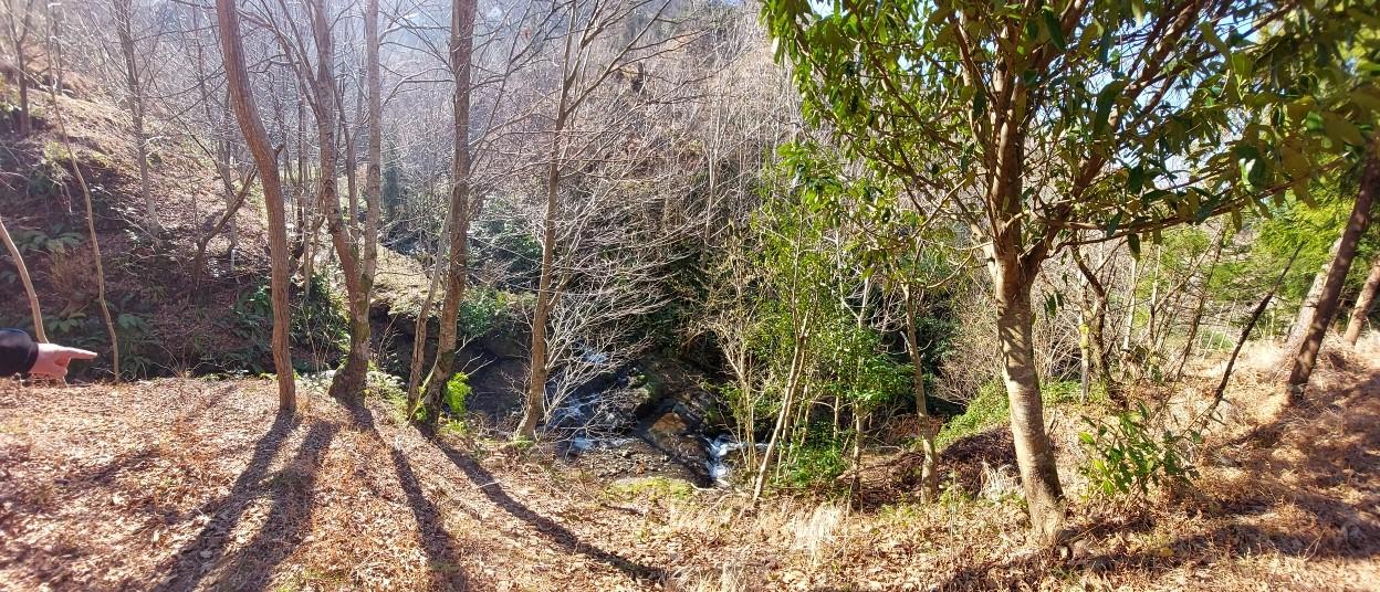 Land For Sale In Chakvi, 5,181 M² For $95,000 view 12