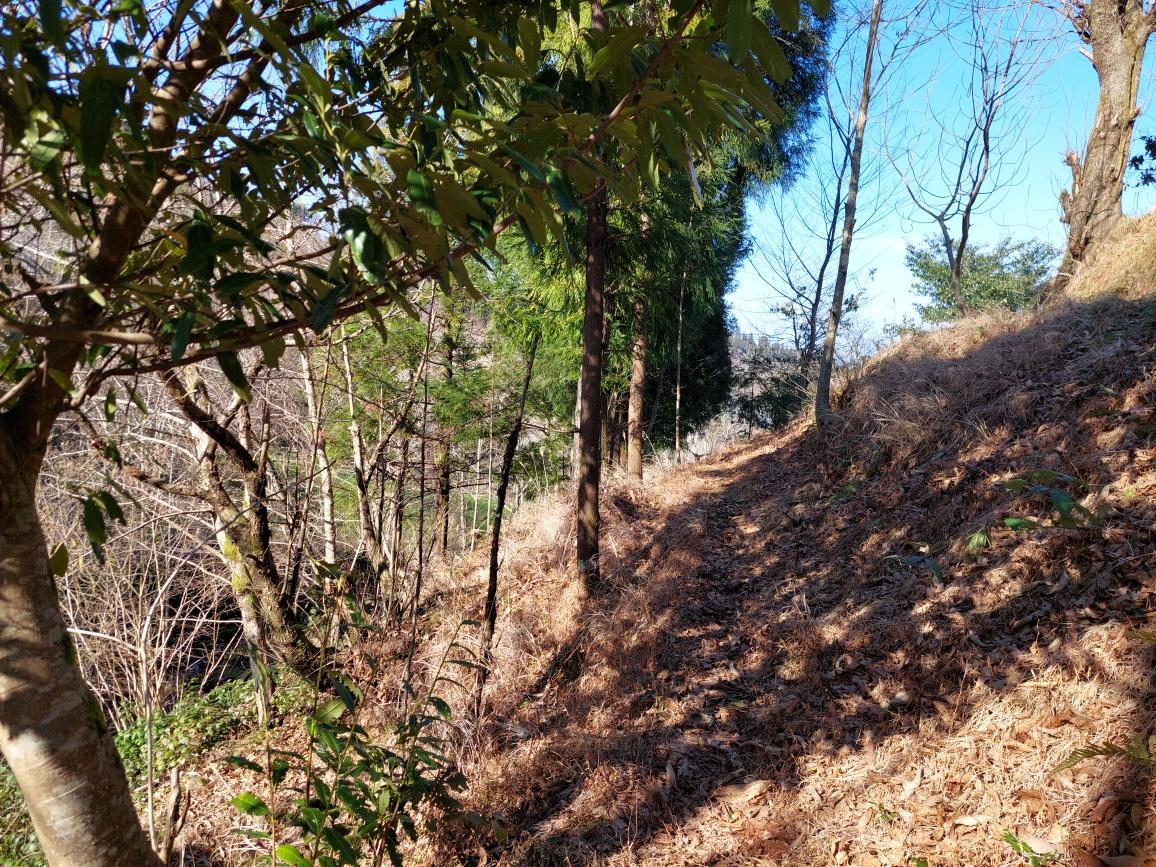 Land For Sale In Chakvi, 5,181 M² For $95,000 view 10