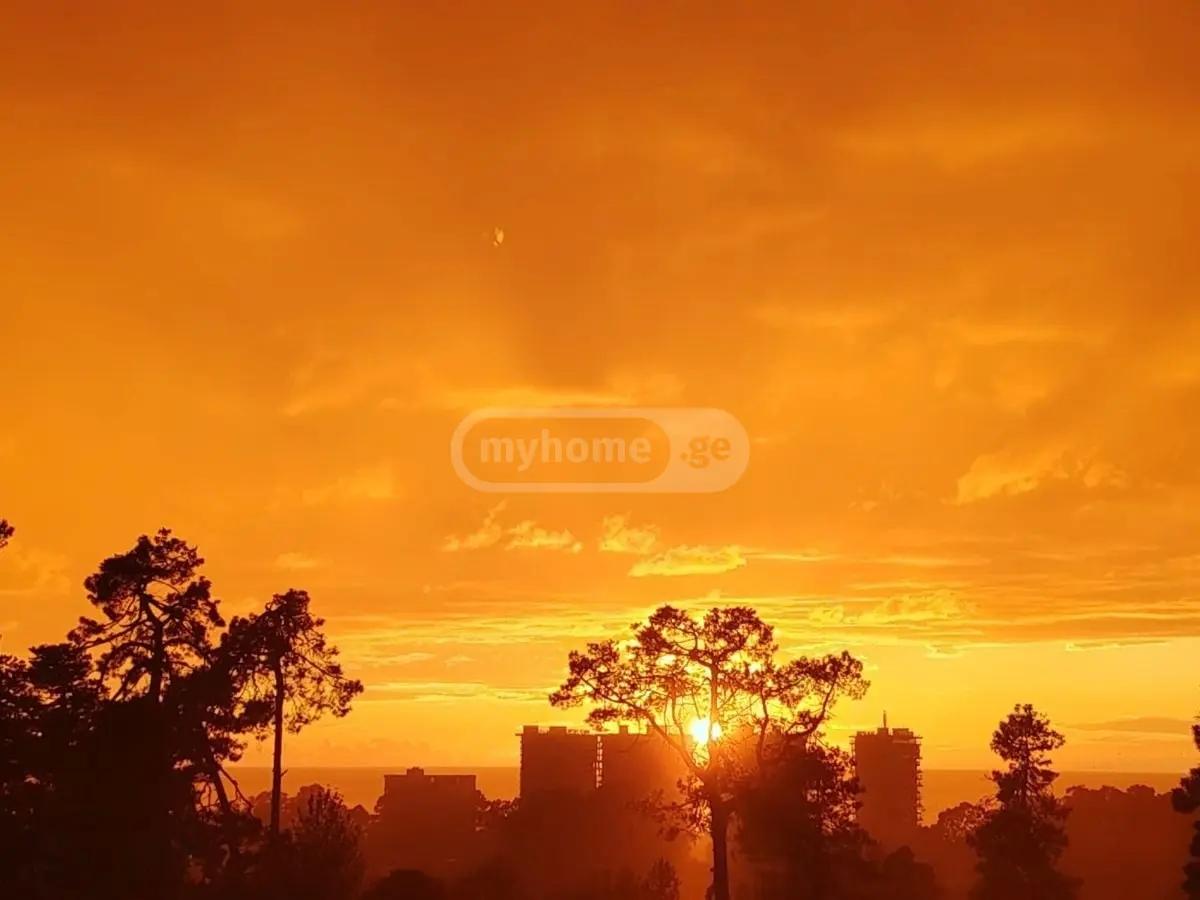 Land For Sale In Batumi, 1,700 M² For $93,500 view 7