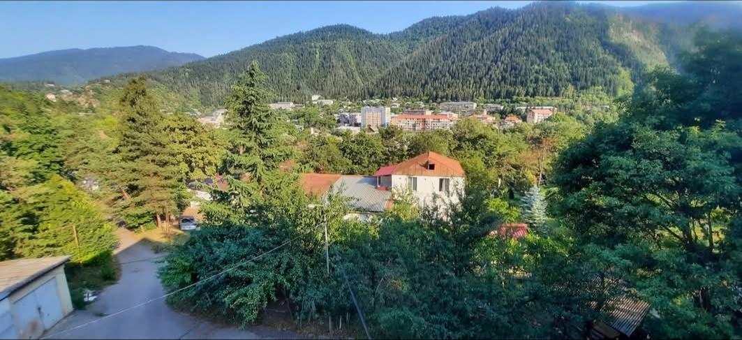 3-Room Apartment For Rent In Borjomi, Meskheti St, 23a view 14