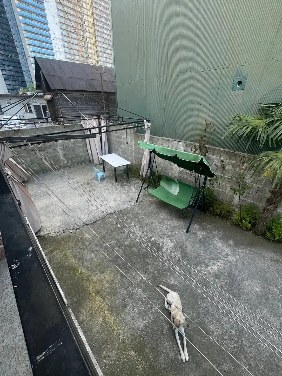 4-Room House In Batumi, Arsena Odzelashvili St, 7z, 80 M², Is Available For Daily Rent For 180 ₾ view 11