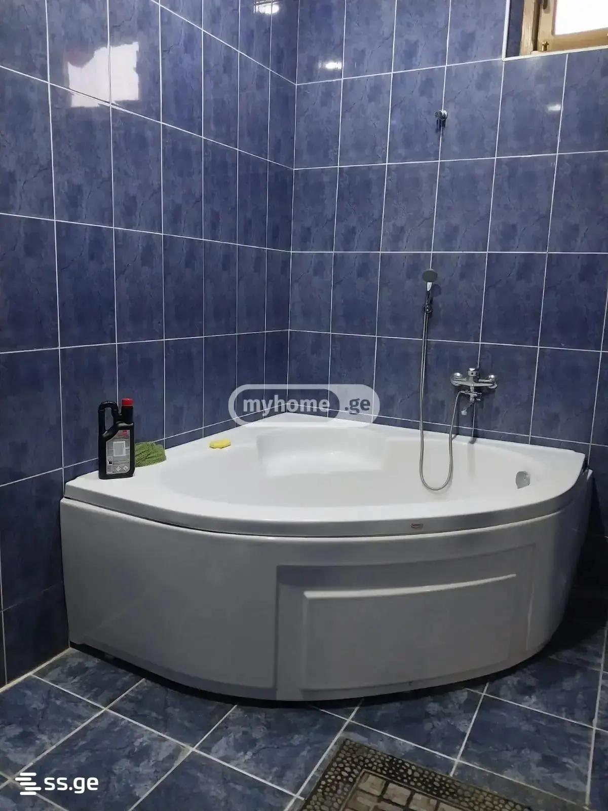 8-Room House For Rent In Batumi, Khelvachauri,Salibauri view 13