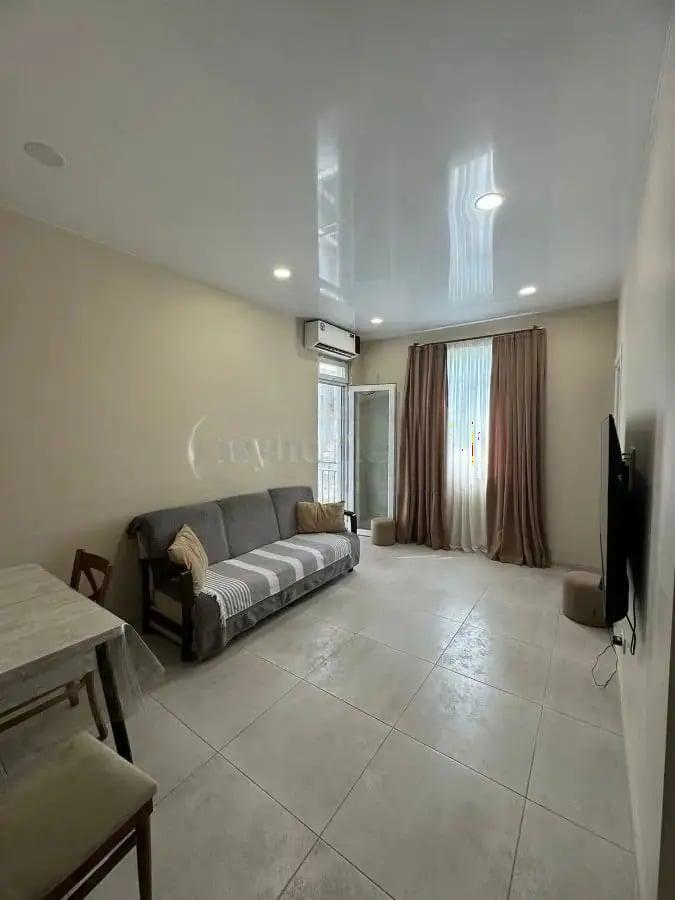 2-Room Apartment For Daily Rent In Batumi, Angisa 1st Lane, 41, 45 M² — 130 ₾ Per Day view 15