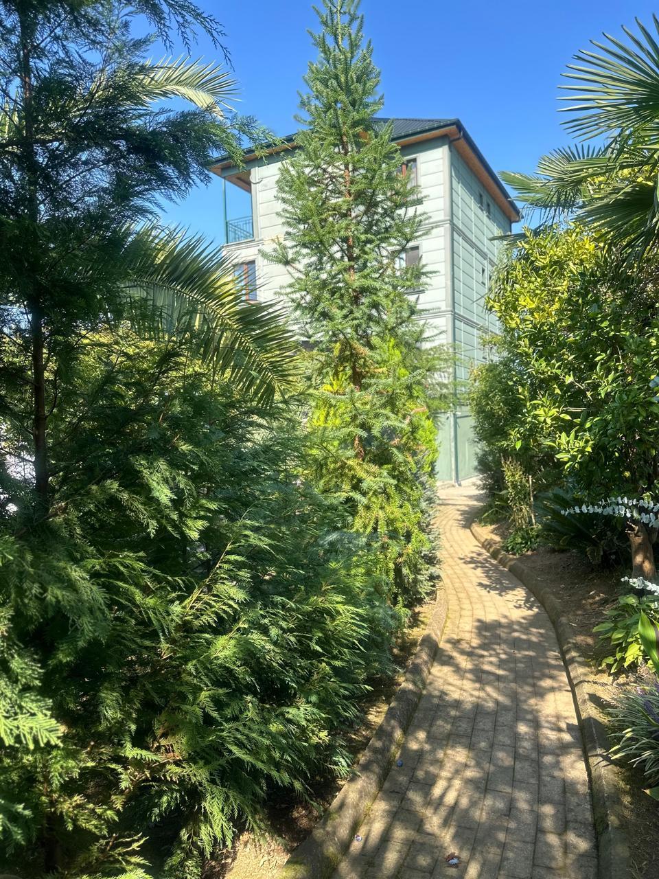 2-Room Apartment For Rent In Batumi, Amaghleba St, 21a view 1