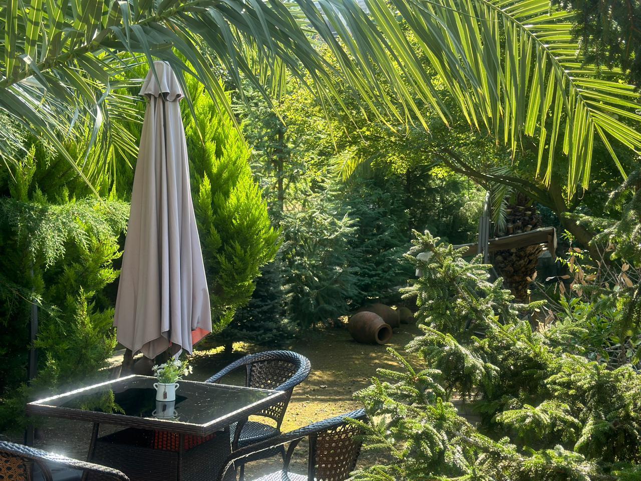 2-Room Apartment For Rent In Batumi, Amaghleba St, 21a view 2