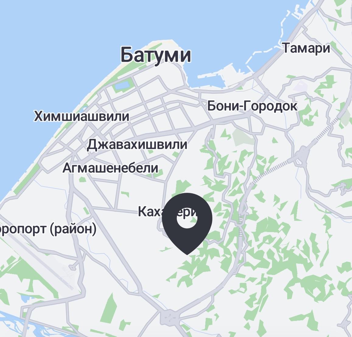 2-Room House For Rent In Batumi, Tevdore Mghvdeli St, 84 view 10