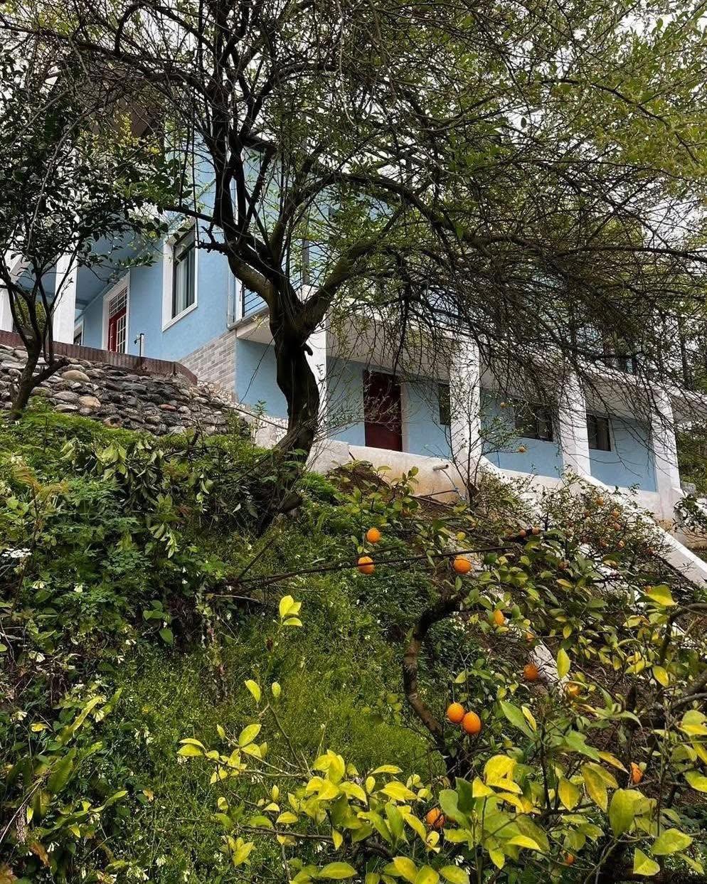 5-Room House For Rent In Chakvi, Tamar Mepe Ave view 2