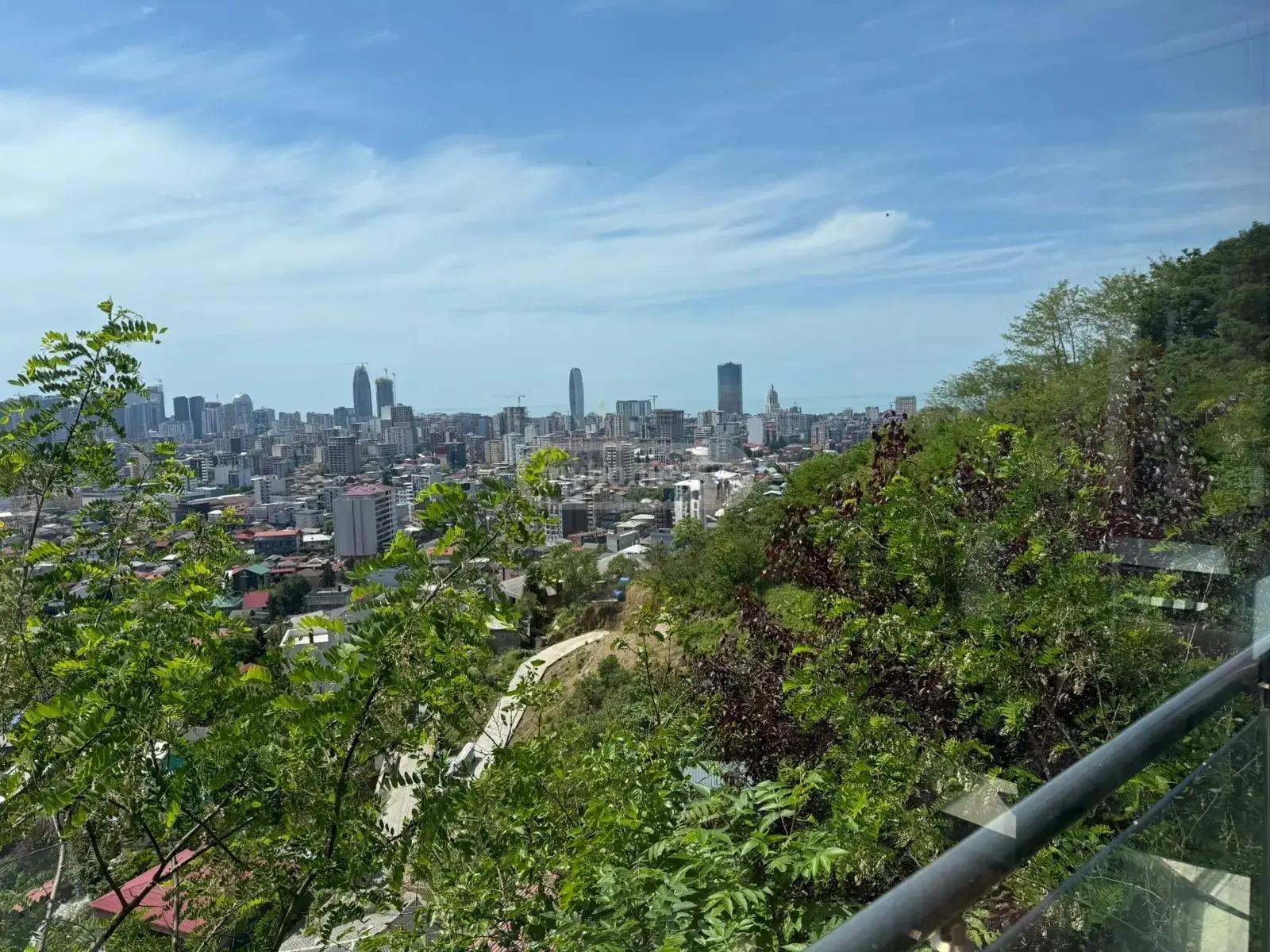 Commercial Property For Rent: 350 M² In Batumi, Qadir Shervashidze Ascent, 28 – $10,000 view 15