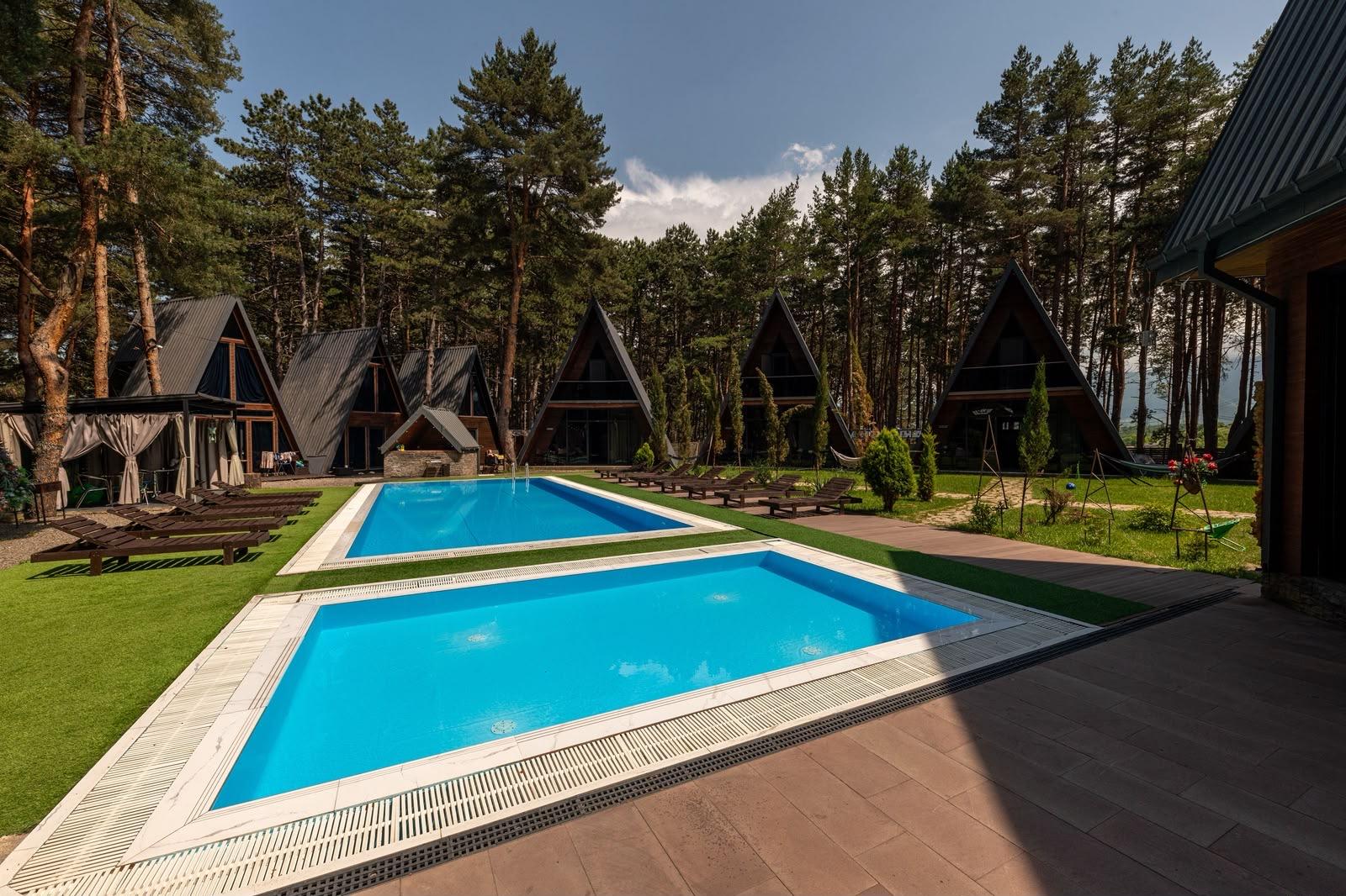 Commercial Property For Sale: 1,780 M² In Borjomi, Surami, Surami – $2,400,000 view 15