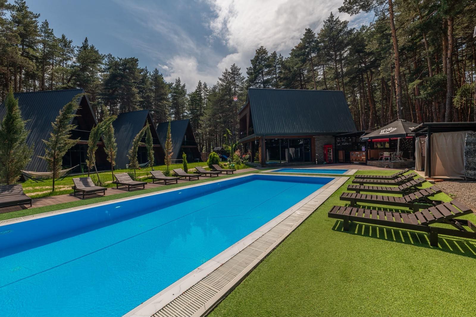 Commercial Property For Sale: 1,780 M² In Borjomi, Surami, Surami – $2,400,000 view 13