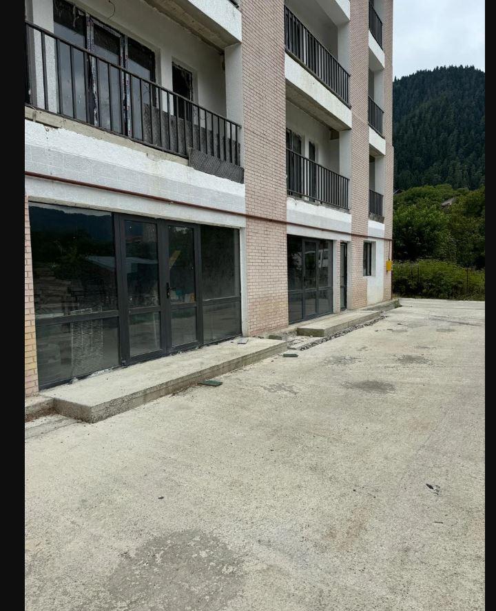 Commercial Property For Sale: 268 M² In Borjomi, New Borjomi – $164,300 view 9