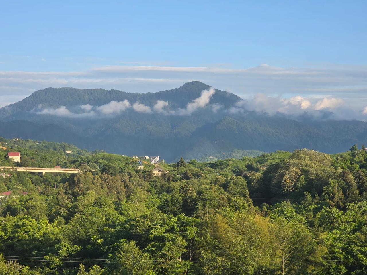 Land For Sale In Chakvi, 500 M² For $40,000 view 5