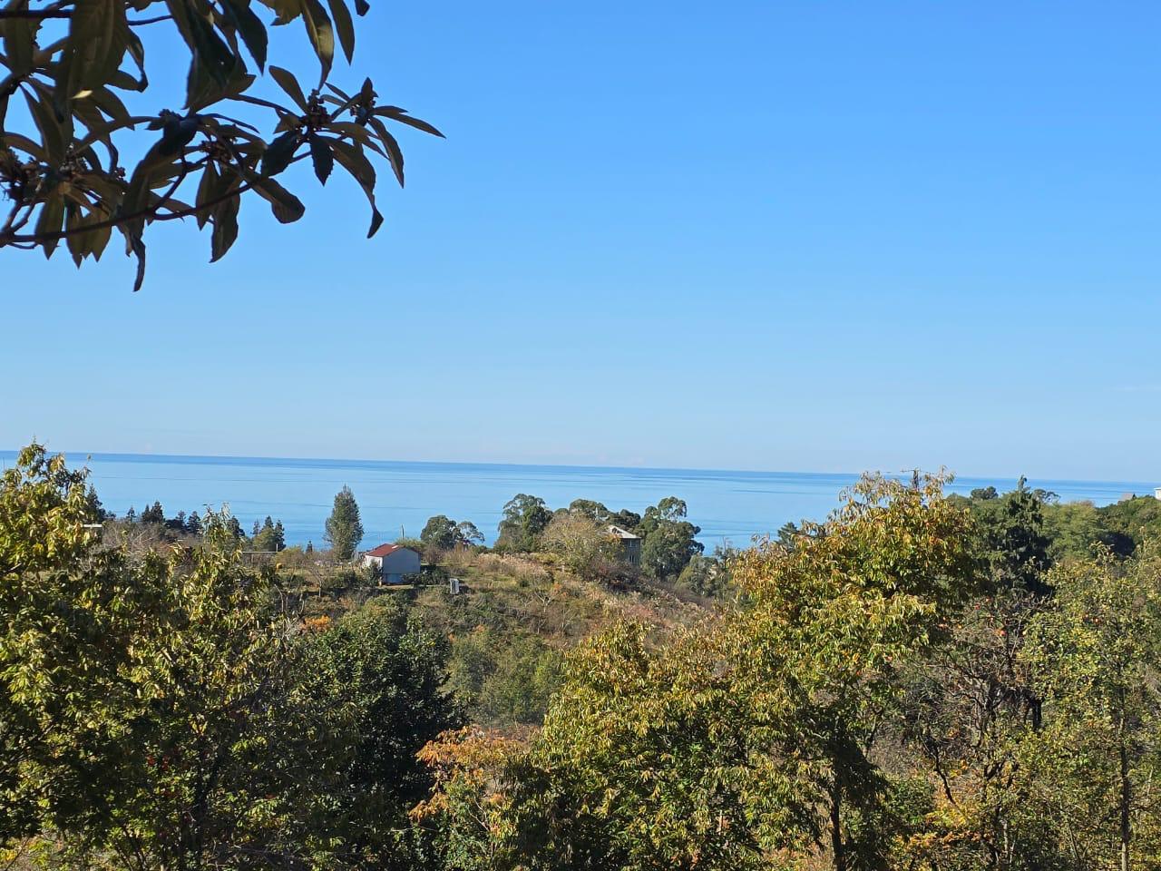 Land For Sale In Chakvi, 1,951 M² For $214,610 view 2