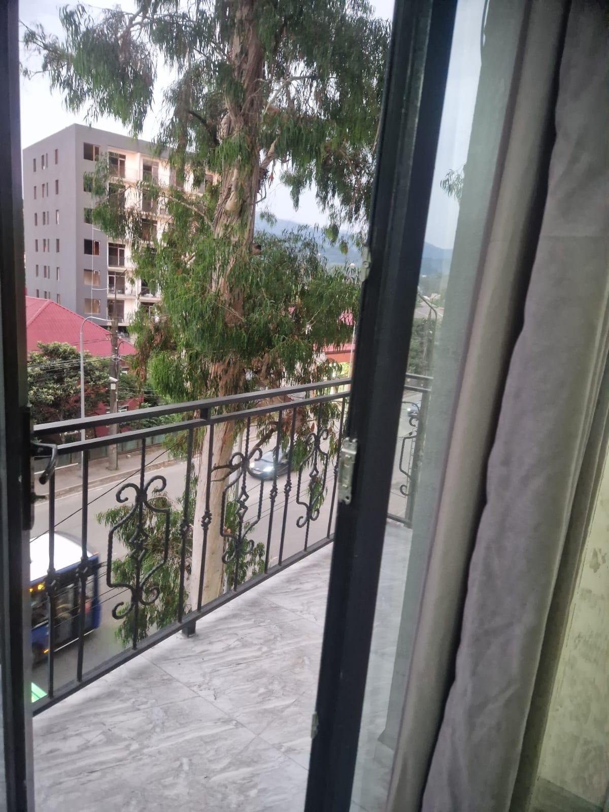 3-Room Apartment For Rent In Batumi, Fridon Khalvashi Ave, 185 view 16