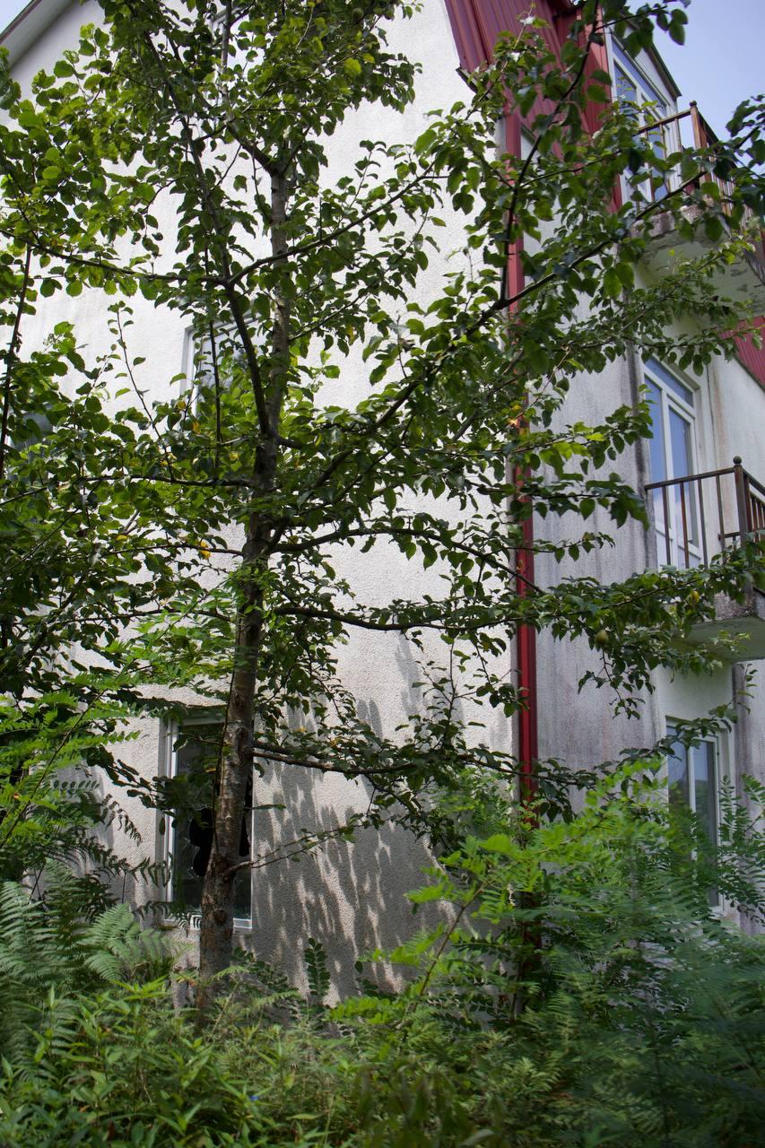 Commercial Property For Sale: 500 M² In Batumi, Tbilisi St, 22 – $123,456 view 8