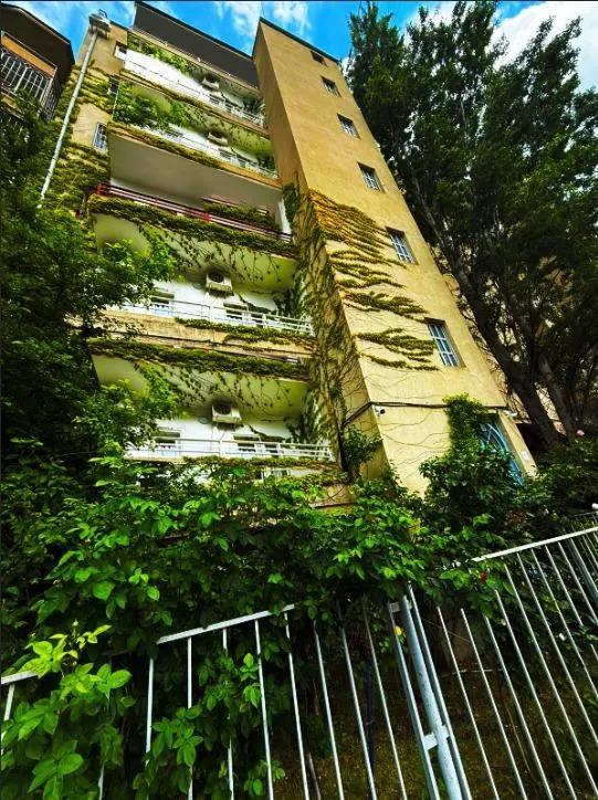 1室公寓，Vake