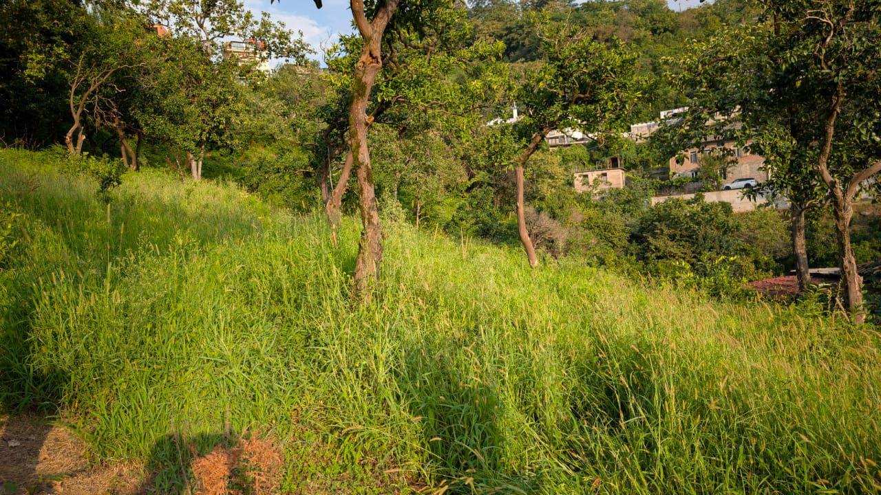 Land For Sale In Batumi, 500 M² For $90,000 view 5
