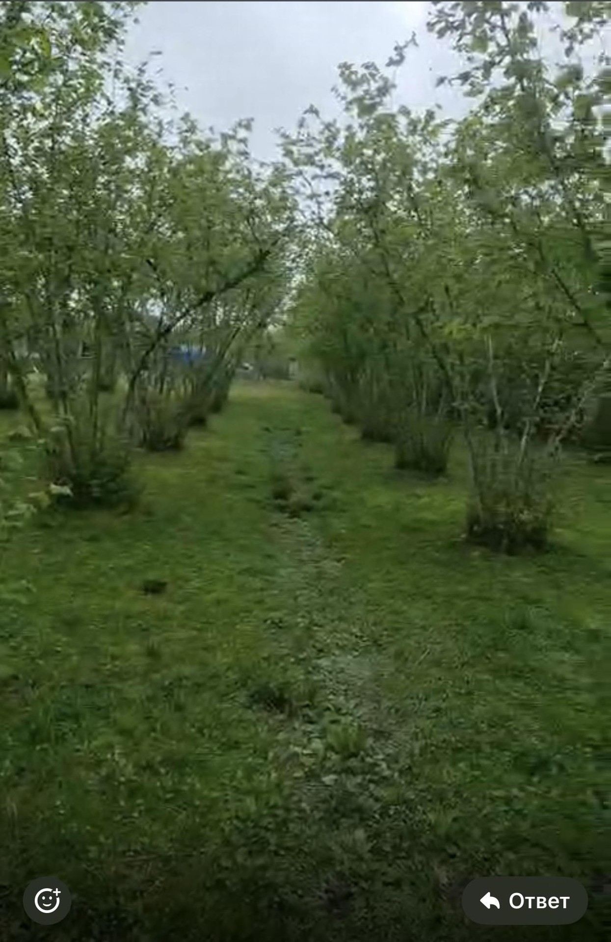 Land For Sale In Batumi, 960 M² For $25,000 view 3