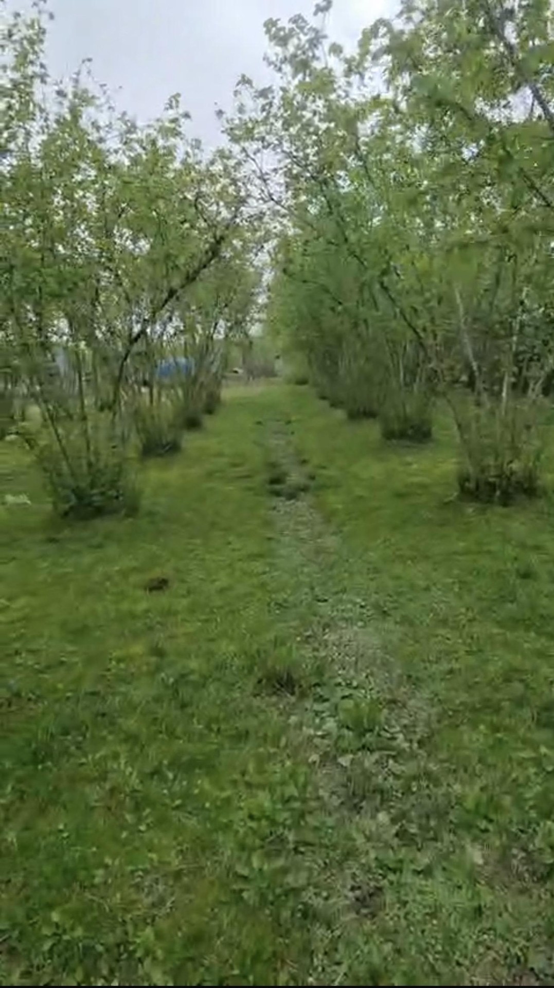 Land For Sale In Batumi, 960 M² For $25,000 view 1