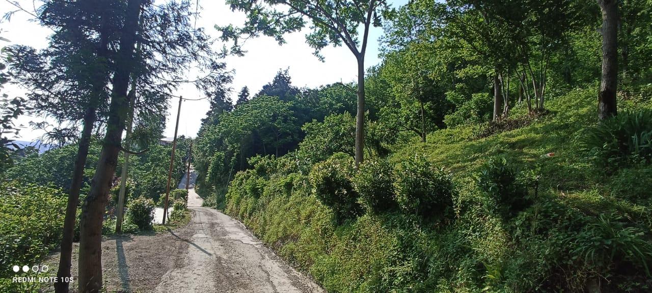 Land For Sale In Batumi, 1,189 M² For $135,000 view 5
