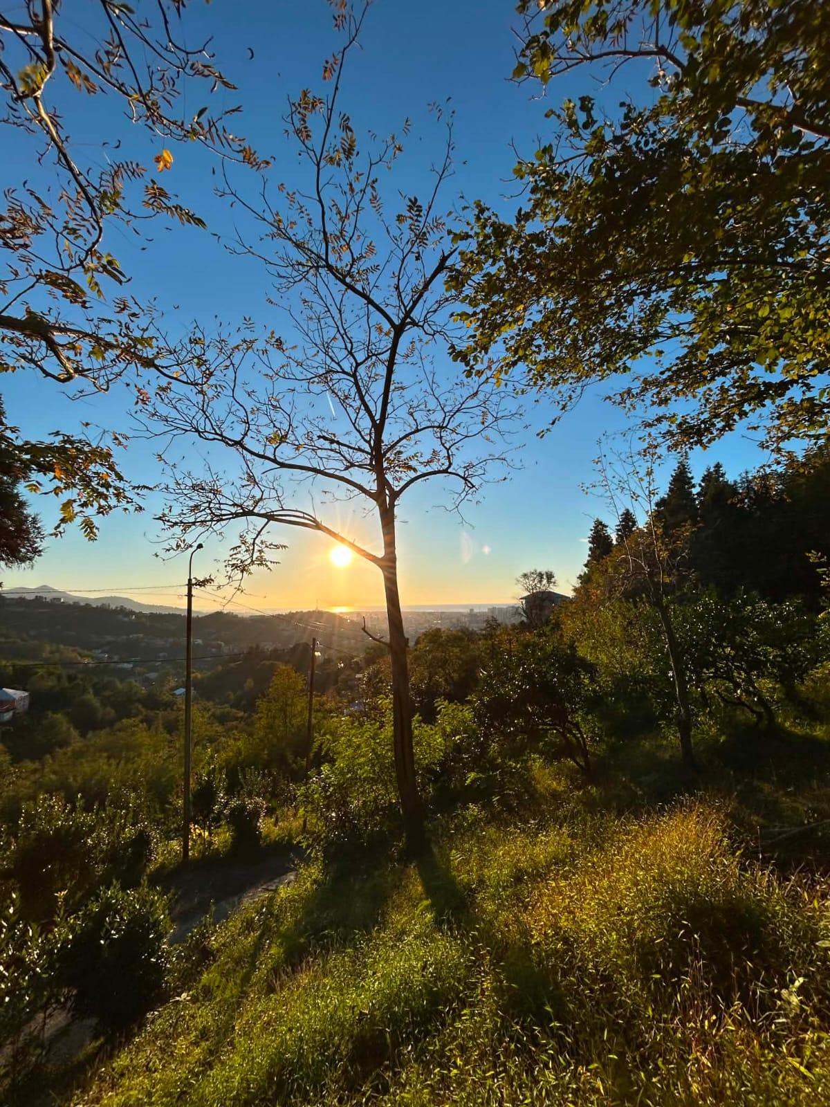 Land For Sale In Batumi, 1,189 M² For $135,000 view 4