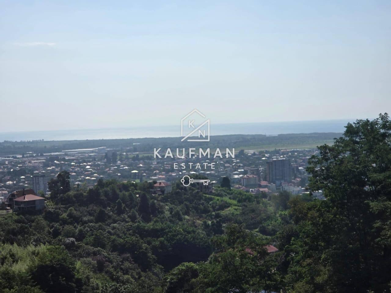 4-Room House For Rent In Batumi, Тодогаури , 42 view 7