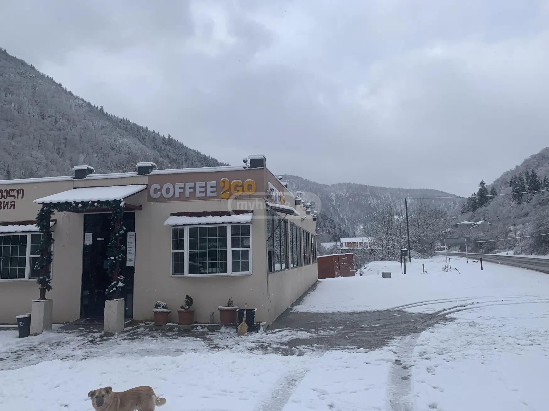 Commercial Property For Sale: 340 M² In Borjomi, Kortanetis Kuch, 3 – $255,500 view 2