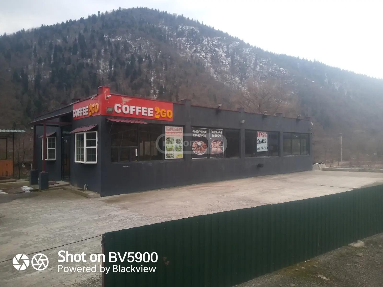 Commercial Property For Sale: 340 M² In Borjomi, Kortanetis Kuch, 3 – $255,500 view 10