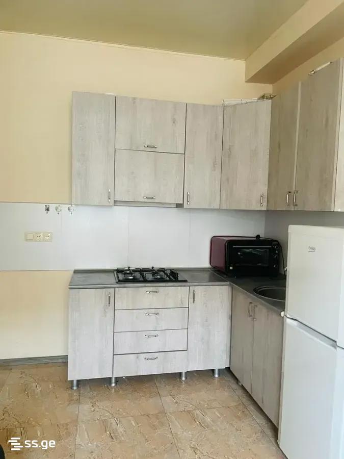 2-Room Apartment For Rent In Tbilisi, ул..Вепхисткаосани, 34 view 2