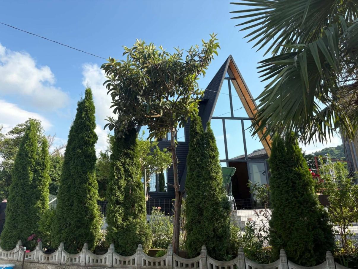 3-BR Cottage For Rent In Batumi, Gonio St, 2 view 8