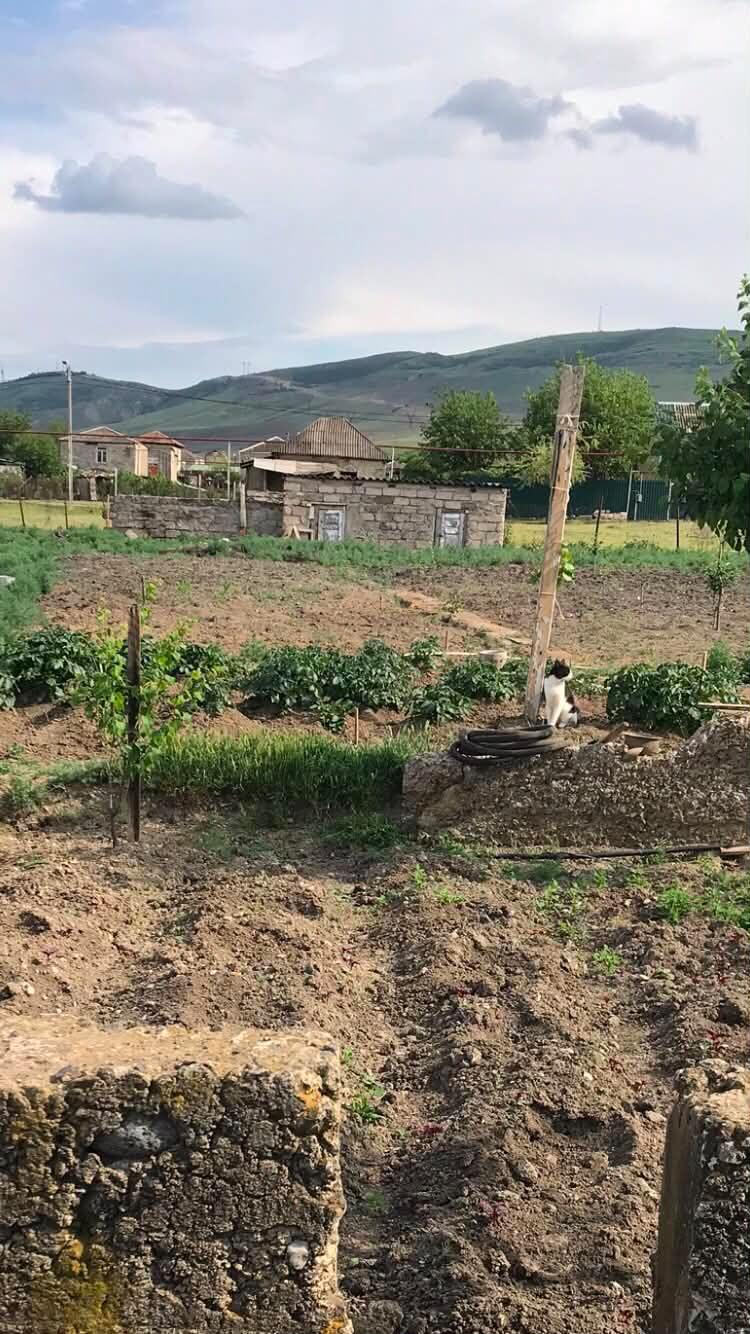 Krtsanisi-Shindisi: Plot, None M² | Korter.Ge view 5