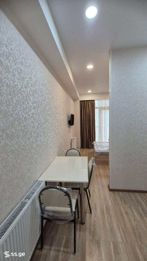 2-Room Apartment For Rent In Tbilisi, Ekvtime Kheladze St, 4 view 6