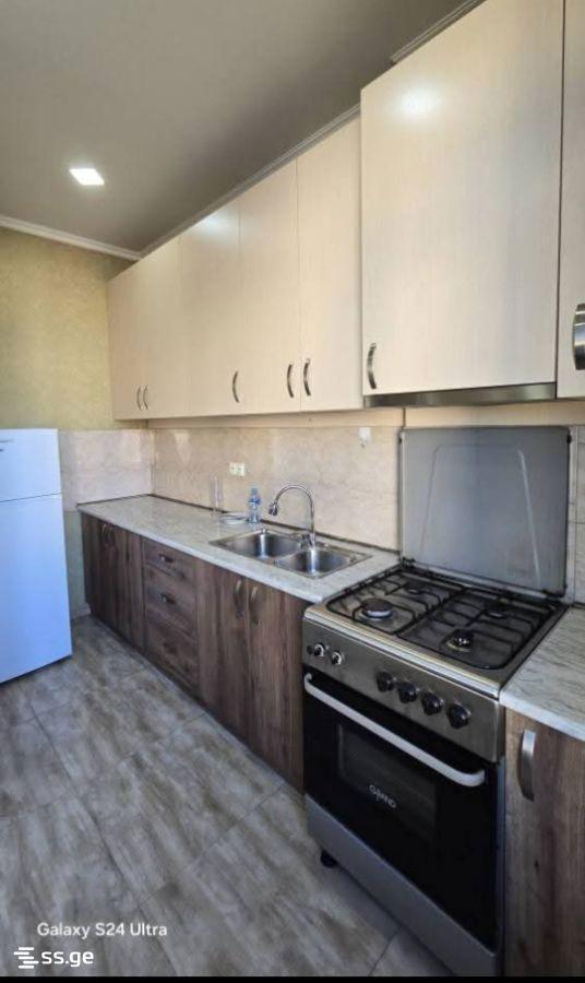 3-Room Apartment For Rent In Tbilisi, Mirian Mepe St, 104a view 9