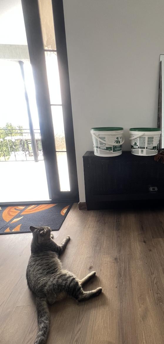 5-BR Cottage For Rent In Batumi, Tbilisi St view 21