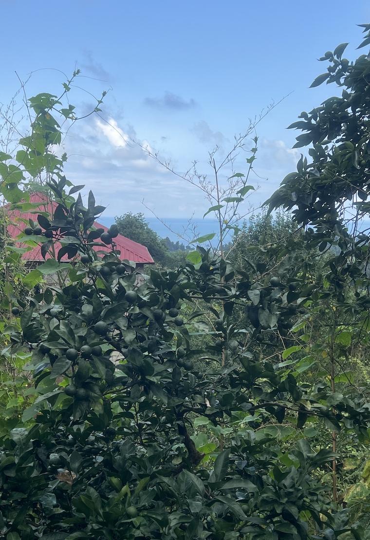 5-BR Cottage For Rent In Batumi, Tbilisi St view 20