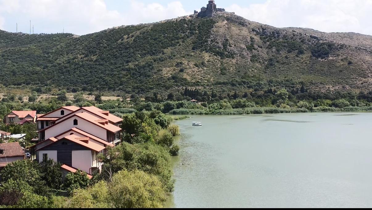 Commercial Property For Sale: 500 M² In Mtskheta, Demetre Tavdadebuli, 5A – $1,600,000 view 7