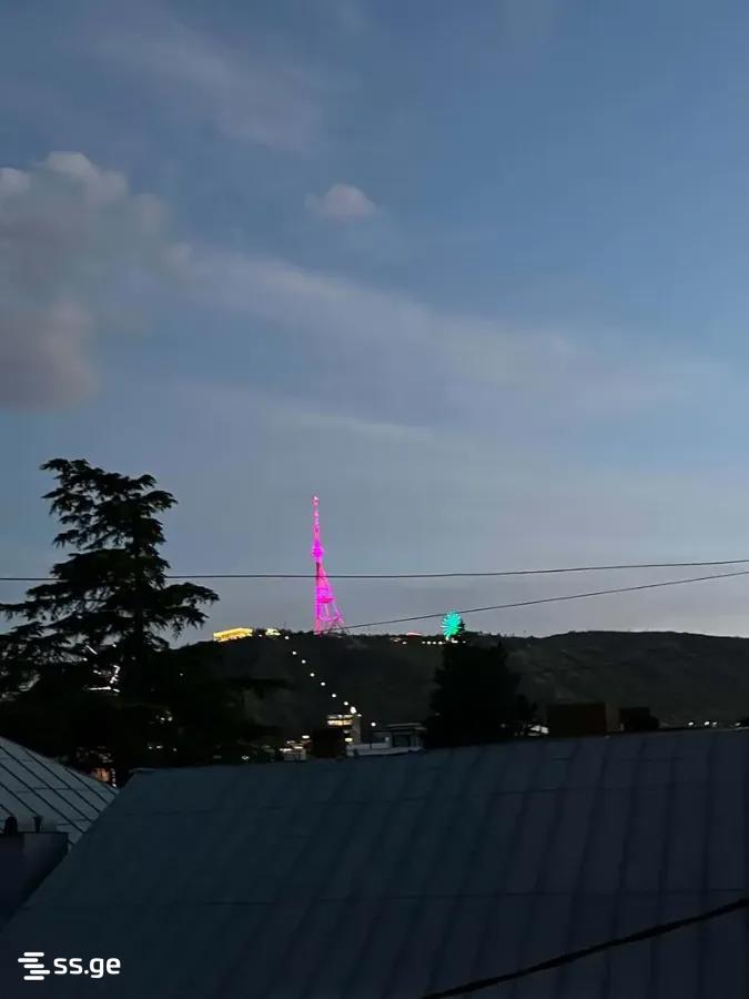 2-Room Apartment For Rent In Tbilisi, Kote Marjanishvili St, 35/69 view 7
