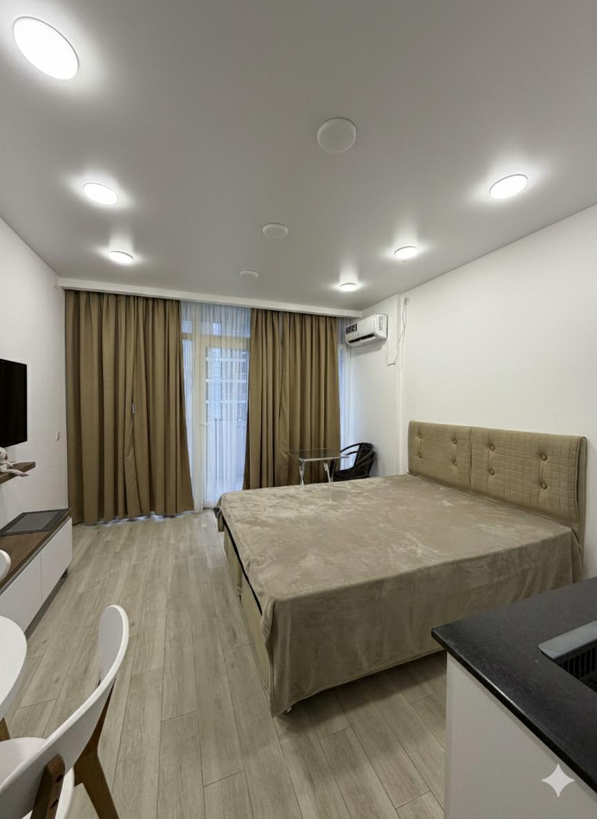 Studio Apartment For Rent In Batumi, Tamar Mepe Ave, 38 view 9