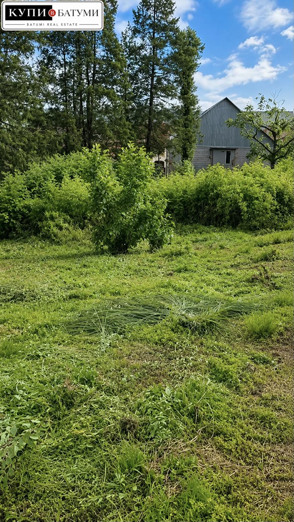 Land For Sale In Batumi, 1,500 M² For $165,000 view 7