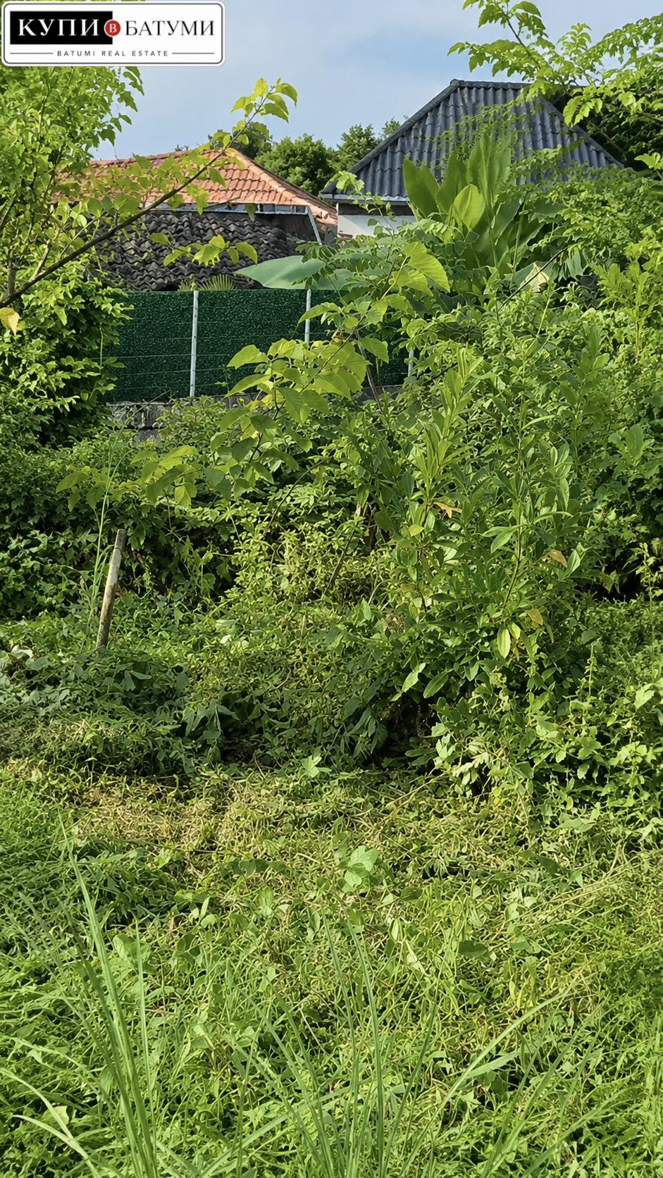 Land For Sale In Batumi, 1,500 M² For $165,000 view 3