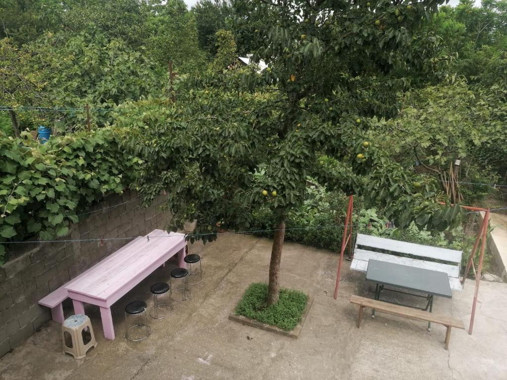 5-Room House In Kobuleti, Vakhushti Bagrationi St, 42, 200 M², Is Available For Daily Rent For 70 ₾ view 3