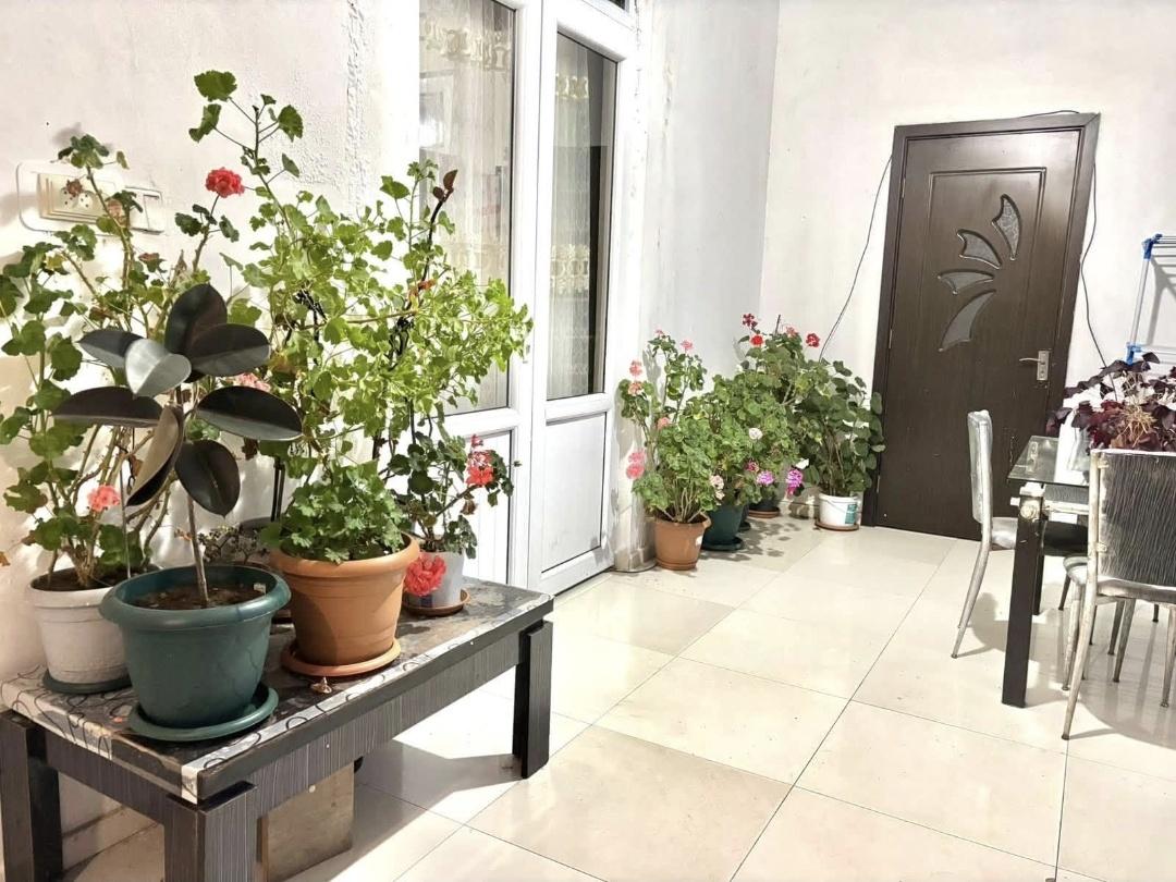 5-Room House For Rent In Batumi, Iusup Paghava St, 63 view 27