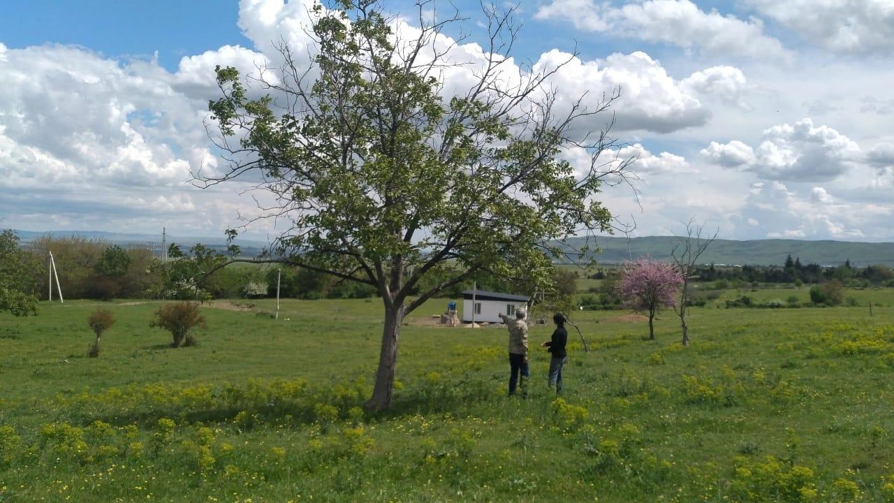 Teleti St, 2: Plot, None M² | Korter.Ge view 4