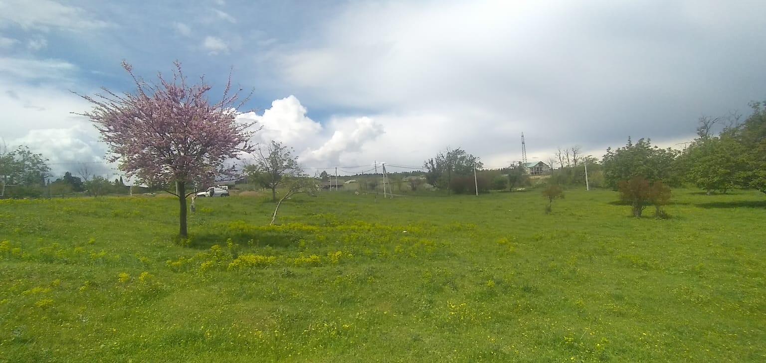 Teleti St, 2: Plot, None M² | Korter.Ge view 3