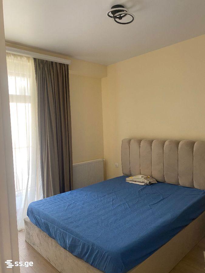 2-Room Apartment For Rent In Tbilisi, View Development view 4