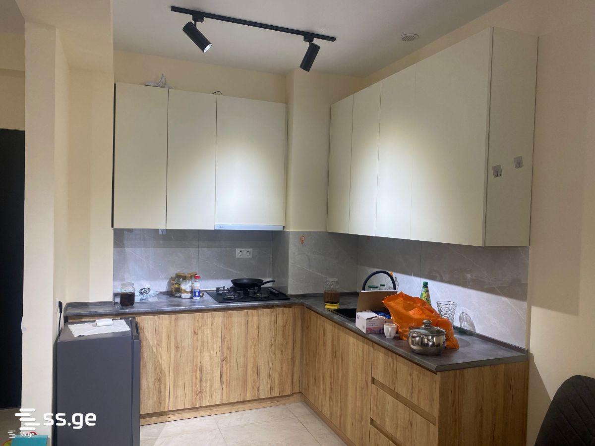 2-Room Apartment For Rent In Tbilisi, View Development view 1