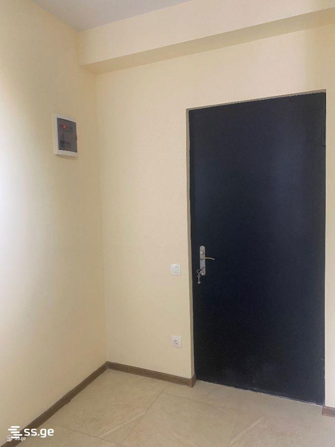2-Room Apartment For Rent In Tbilisi, View Development view 5