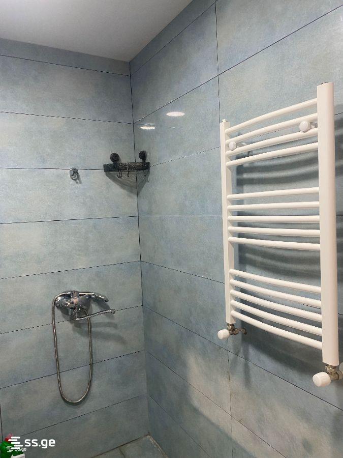 2-Room Apartment For Rent In Tbilisi, View Development view 6