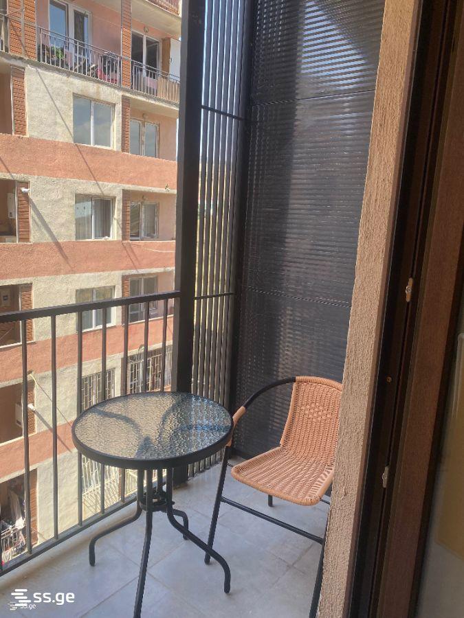 2-Room Apartment For Rent In Tbilisi, View Development view 8