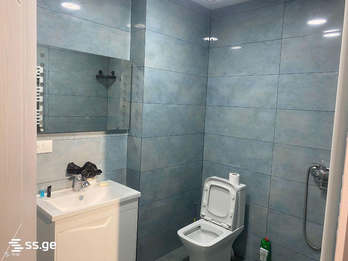 2-Room Apartment For Rent In Tbilisi, View Development view 3